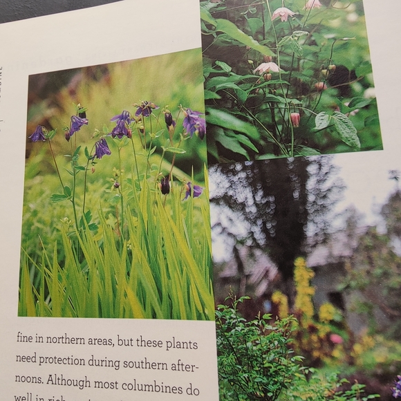 Y2K | Martha Stewart Living magazine June 2003 - Picture 10 of 14